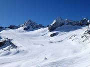 Blick auf den Daunferner