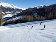 Breite Waldabfahrt Panorama 2