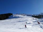 Leichte Bärnbissabfahrt