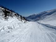 Perfekt zum Üben - Piste Nr. 10