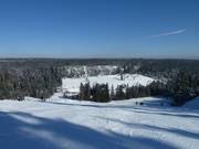 Blick von der Bergstation auf Kaltenbronn