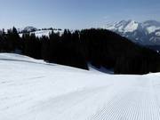 Präparierte Piste im Skigebiet Grüsch Danusa