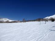 Leichte und breite Pisten in Annupuri