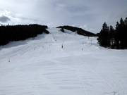 Pisten an der 4er Sesselbahn Gschwandtkopf und am Brunnentallift