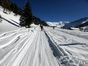 Schneeflucht 2 - Schlepplift mit T-Bügel/Anker