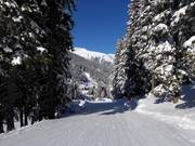 Leichte Talabfahrt nach Gargellen