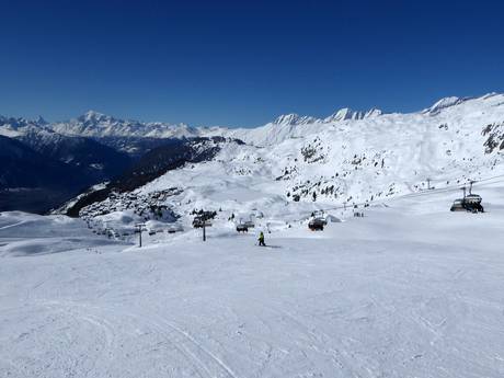 Berner Alpen: Größe der Skigebiete – Größe Aletsch Arena – Riederalp/Bettmeralp/Fiesch Eggishorn