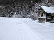 Langlaufloipe im Angertal