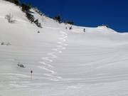 Abstecher in den Tiefschnee