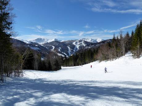 Montenegro: Testberichte von Skigebieten – Testbericht Kolašin 1450/Kolašin 1600