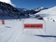 Eigener Anfängerbereich Merlans