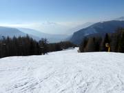 Piste Pragrant Nr. 11