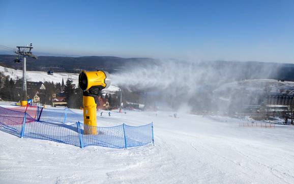 Schneesicherheit Südwestpolen – Schneesicherheit Zieleniec