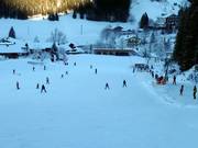 Leichte Piste am Mühlhanglift in Zöblen