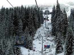 Srdiečko-Kosodrevina