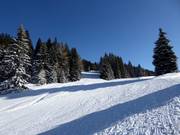 Leichte Piste Seehof