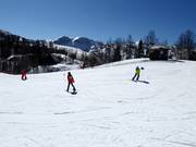 Tipp für die Kleinen  - Childrens Park Vogel