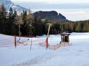 Wald-Lift - Schlepplift mit T-Bügel/Anker