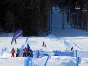 Kinderland in Orlické Záhoří
