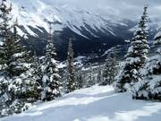 Glades Runs (ausgeholzte Waldabfahrten) am North Peak