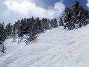 Anspruchsvolles Gelände beim Powderhorn Cirque