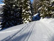 Panoramaloipe am Kristberg