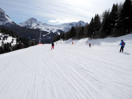 Pistenangebot Val di Fassa (Fassatal) – Pistenangebot Belvedere/Col Rodella/Ciampac/Buffaure – Canazei/Campitello/Alba/Pozza di Fassa