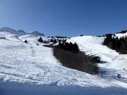 Freier Skiraum zwischen Plitschès und Sesolas