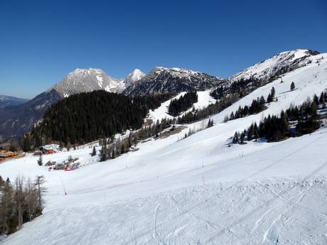 Gorenjska (Oberkrain): Testberichte von Skigebieten – Testbericht Krvavec