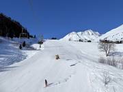 Talabfahrt Nr. 47 Dieni