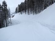 Leichte Piste vom Gipfel bis ins Tal