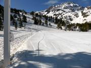 Übungsgelände am Skischullift
