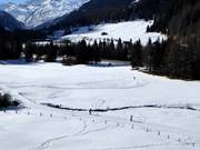 Langlauf in Splügen