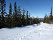 Brynbekken - Schlepplift mit T-Bügel/Anker