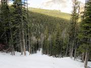 Steil geht es in den Monster Glades talwärts