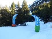 Tipp für die Kleinen  - Snowy Zones/Pandilla Snowy