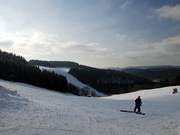Blick vom Dorfrand über den Kapellenhang zum Steilhang