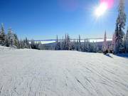 Leichte und breite Piste im Skigebiet Sun Peaks