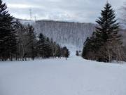 Mittelschwere Piste Isola C