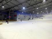 Leichte Piste im unteren Teil der Tellerlifte