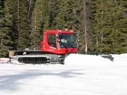 Pistenraupe bei der Arbeit