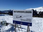 Tipp für die Kleinen  - Rodeln