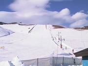 Piuquenes - Tellerlift