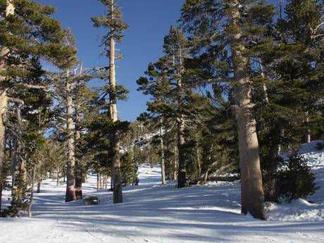 Skigebiete für Könner und Freeriding Lake Tahoe – Könner, Freerider Heavenly