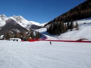 Leichte Übungspiste am Almboden