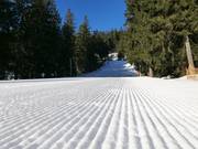 Sehr gute Pistenpräparierung in Špičák 