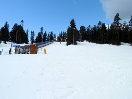 Skigebiete für Anfänger im Lower Mainland – Anfänger Mount Seymour