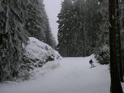 Waldabfahrt am Wurmberg