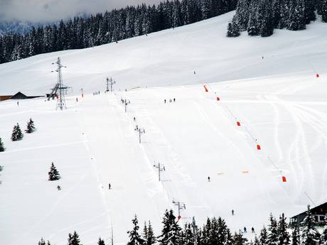 Skigebiete für Anfänger in den Grajischen Alpen – Anfänger Espace Diamant – Les Saisies/Notre-Dame-de-Bellecombe/Praz sur Arly/Flumet/Crest-Voland