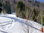 Köpflelift - Tellerlift